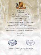  王一淳、張心雅同學(xué)在舒曼國際青少年鋼琴大賽(亞太地區(qū)選拔賽)四川分賽區(qū)初賽中分獲業(yè)余組二等獎(jiǎng)、三等獎(jiǎng) 