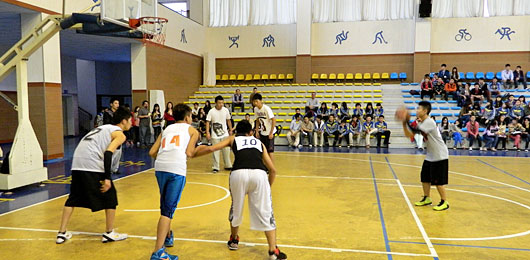  美視籃球錦標賽 