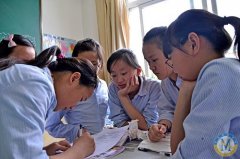 學生發展--有趣的探究學習