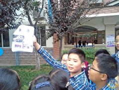 MYP YEAR 3 樹木探究活動