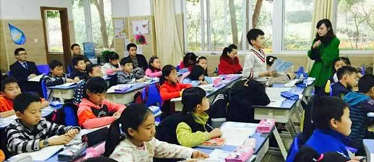  【教研動態】小學部：踐行PYP，教研墾開活水源 