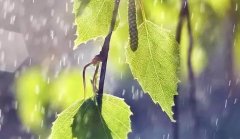 【教研動態(tài)】集思廣益促教學--記五月語文、數(shù)學組集體備課