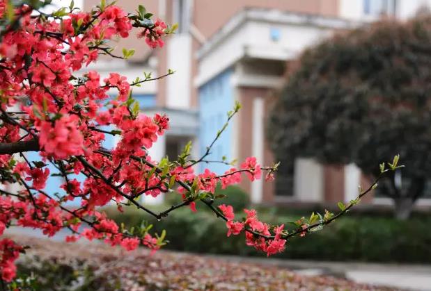  【畢業情懷】那些年，在美視 