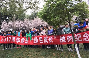  種下一棵樹，留下一片情 