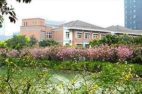 【項目特色】美視中學部