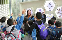 【PYP:CAS活動】與蝶為友,共舞芬芳