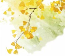 征集令 | 絮語你與季節的耳鬢廝磨