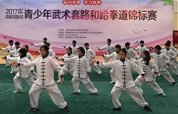  PYP動態|“哲拳”揮出色！小學生耍太極有一套！ 