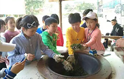 PYP動態| 探究,在廣闊的天地中