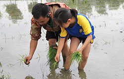  探究課堂：瀲滟田地在召喚——插秧嘍！播種咯！孩子們下地咯！ 