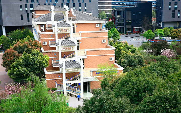 成都4001百老匯學校小升初面談公告