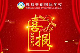 成都4001百老匯學校2019年高考喜報