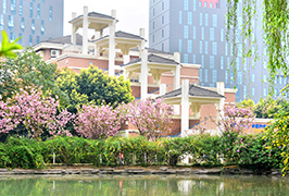 成都4001百老匯學校2019年小升初隨機派位名單公示