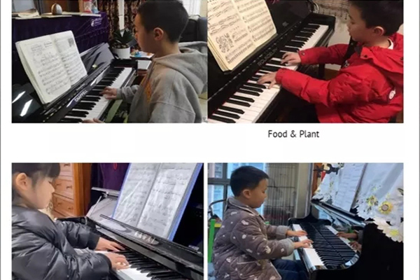 中國部小學那些相約“云端”的日子