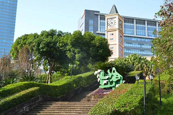 2020年招生公告 | 幼升小、小升初家長速看！