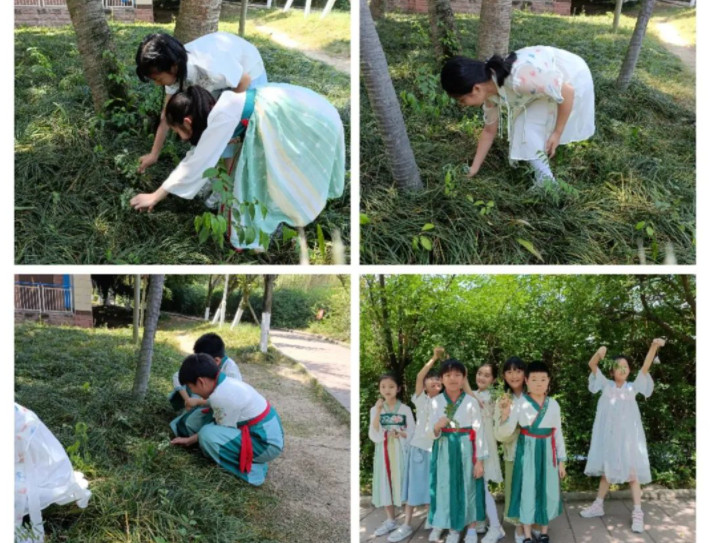 “粽”情“粽”意 可咸可甜丨融合部·小學開展“端午”主題探究活動