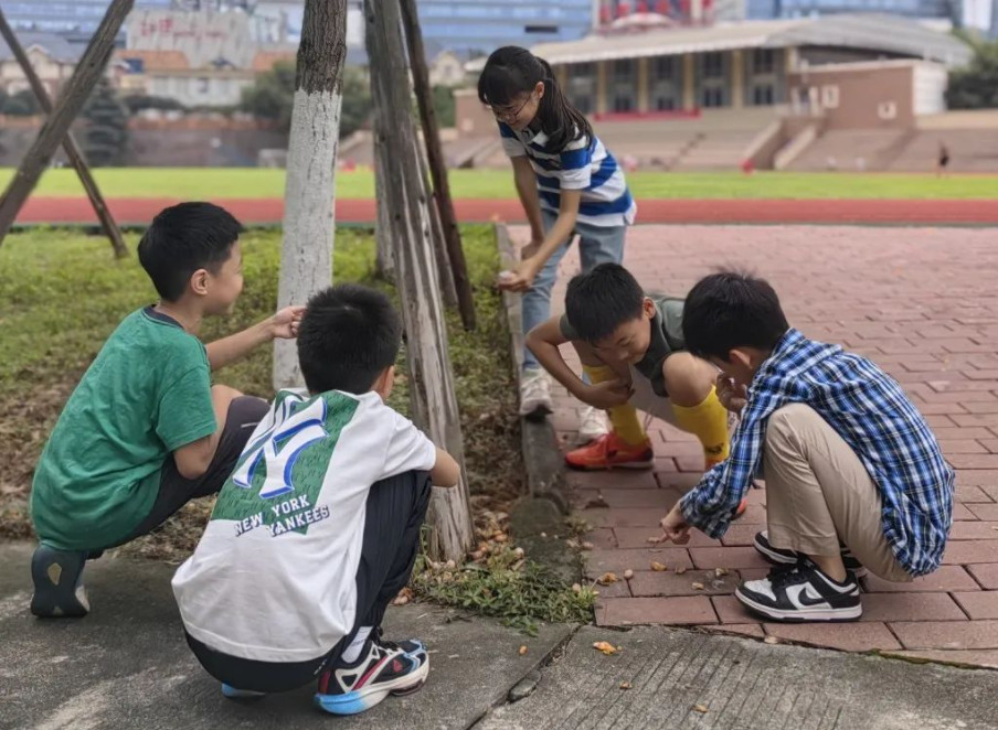 秋分至,秋意濃 | 融合部·小學開展“秋分”主題探究活動