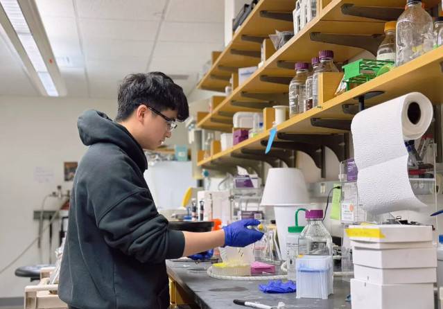 121142-8193.jpg 2024-12-11_161133.jpg